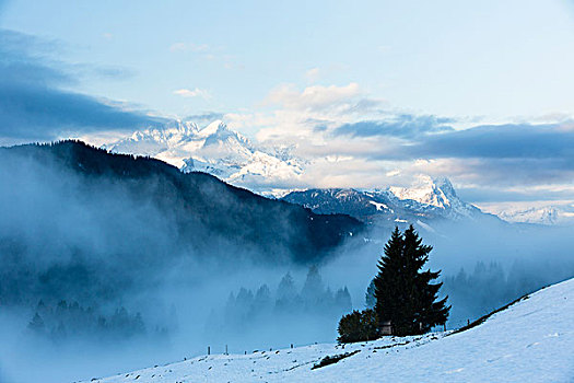 晨雾,正面,楚格峰,山,秋天,陆地,上巴伐利亚