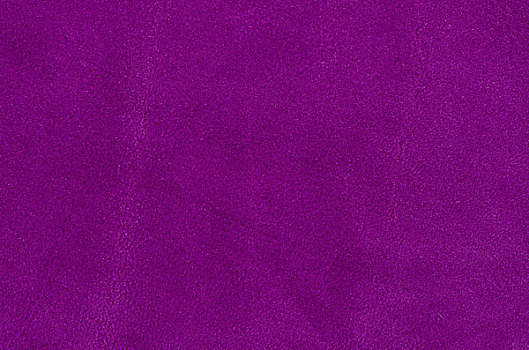 紫色,小山羊皮