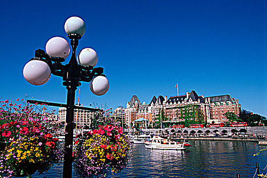 花,篮子,悬挂,皇后酒店,维多利亚,温哥华岛,不列颠哥伦比亚省,加拿大