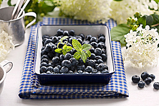 蓝莓,烘培器皿