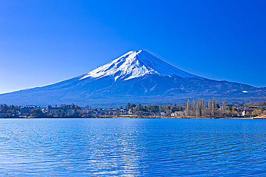 富士山,湖,冬天