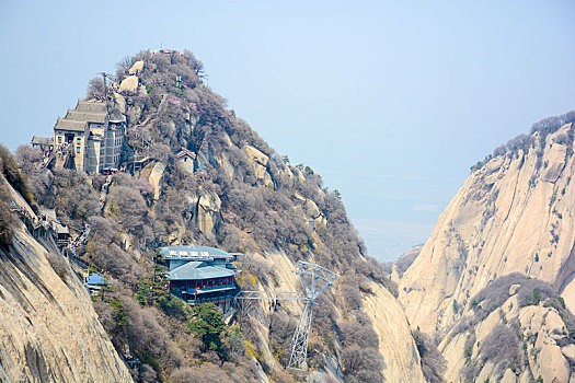 华山春日盛景