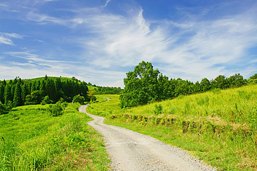 道路,地点