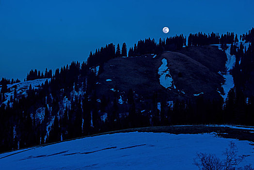 冬季林区夜里的月亮