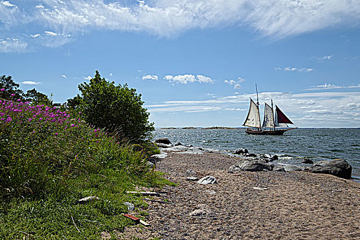 瑞典,萨德哈恩,帆船,正面,海滩