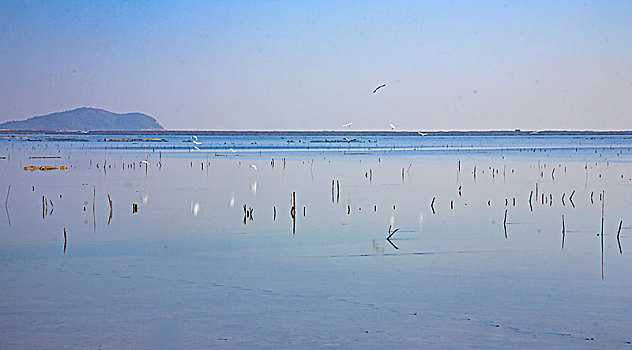 大嵩江,水库,水闸,白鹭