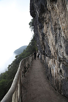 重庆南川,雨中金佛山云端栈道,与云雾起舞如仙如境