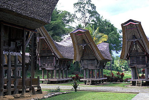 印度尼西亚,苏拉威西岛,传统,房子