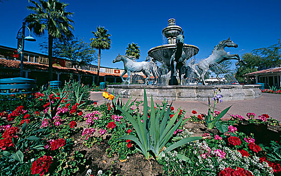 花,正面,喷泉,斯科茨代尔,亚利桑那,美国