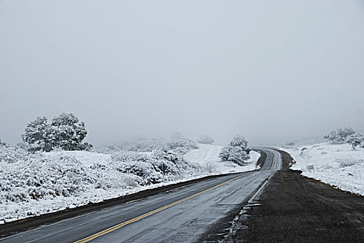 道路,冬天,雾,户外,阿根廷