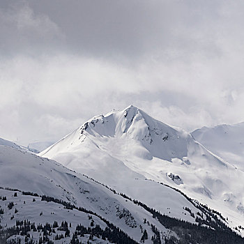 积雪,山峰,惠斯勒,不列颠哥伦比亚省,加拿大