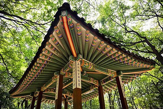 露臺,花園,昌德宮,首爾,韓國