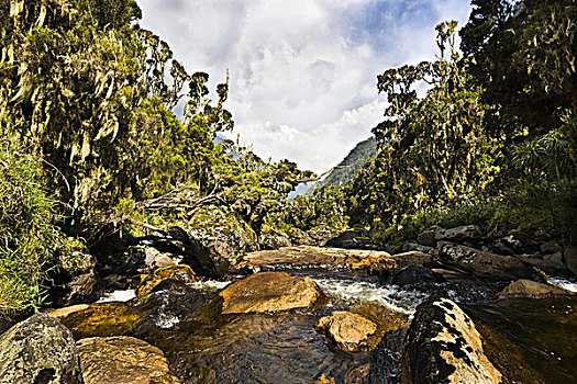 河,鲁文佐里山地区,乌干达