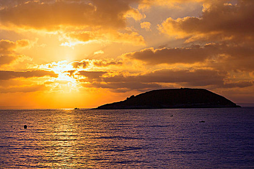 马略卡岛,日出,海滩,巴利阿里群岛,西班牙