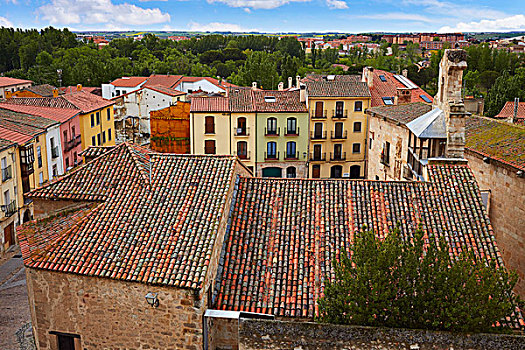萨莫拉,俯拍,屋顶,西班牙