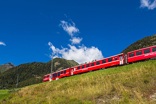 铁路,茵谷,瑞士国家公园,恩格达恩,格劳宾登,瑞士