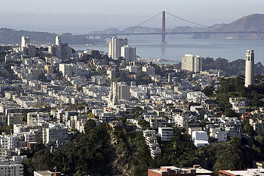 美国,加利福尼亚,旧金山,城市,科伊特塔,金门大桥,背景