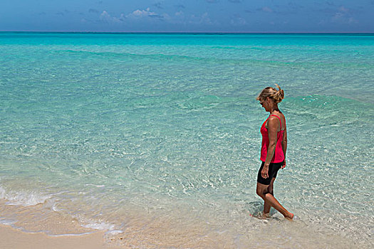 巴哈马,岛屿,女人,走,海滩,水,画廊