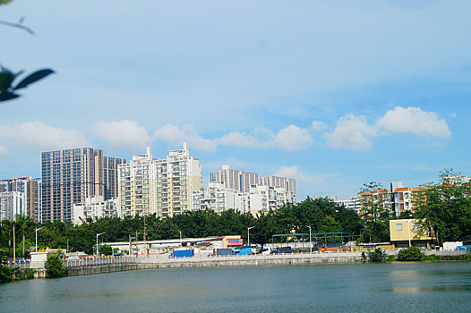 深圳城中村池塘及建筑舞景观