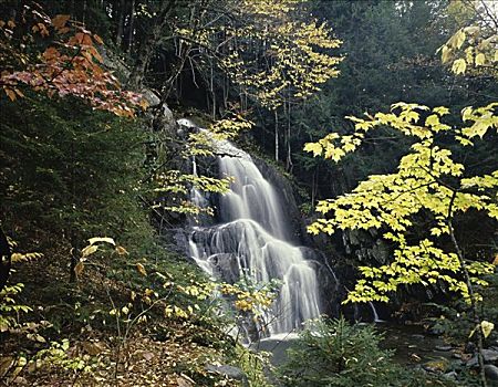 苔藓,瀑布,佛蒙特州,美国