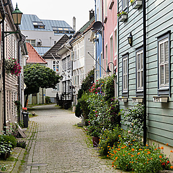 小路,排,房子,卑尔根,挪威
