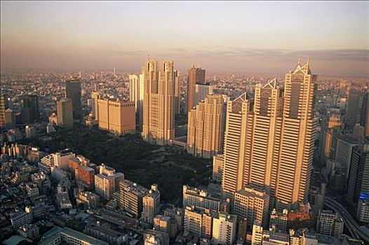 日本,东京,新宿,区域,天际线,气体,建筑