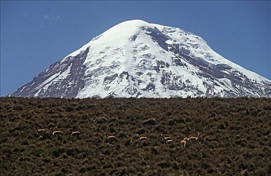 火山,厄瓜多尔,南美