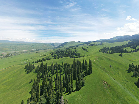 中国新疆伊犁那拉提草原