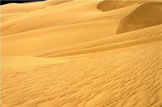 沙丘,风景