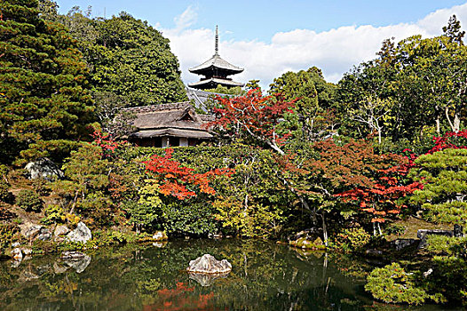 仁和寺,庙宇,京都,日本