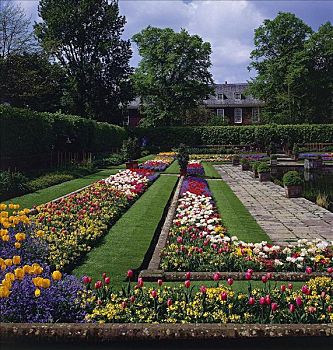 公园,花坛,肯辛顿花园,伦敦,英国,欧洲