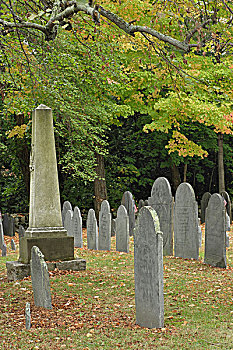 墓碑,南,埋葬,地点,康科德,马萨诸塞