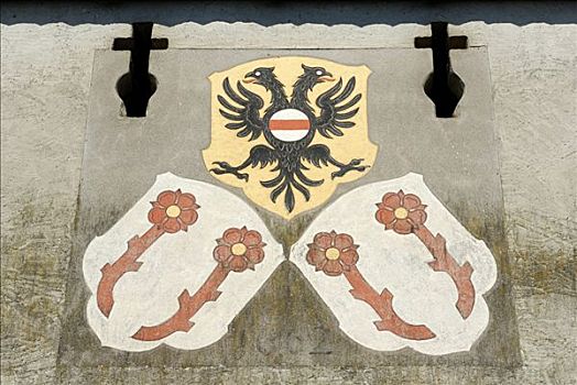 盾徽,城市,瑞士,欧洲