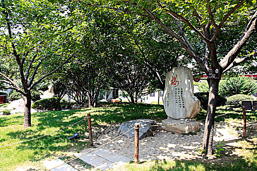 唐大慈恩寺遗址公园