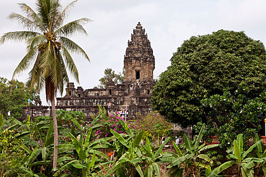 柬埔寨,区域,城市,收获,佛教寺庙,复杂,寺院