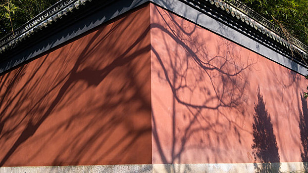传统古建筑红墙光影树影素材