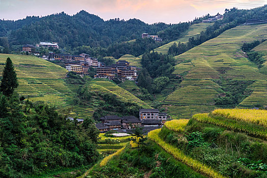 龙胜梯田