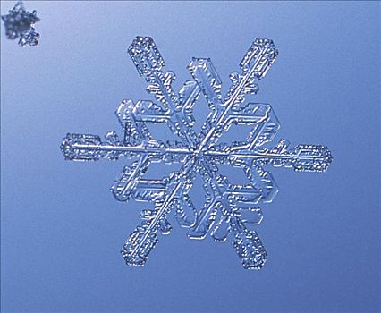 特写,雪花,蓝色背景