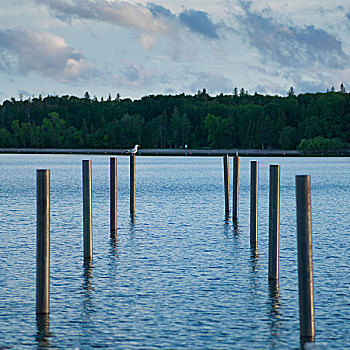 木质,柱子,湖,温尼伯湖,赫克拉火山磨石省立公园,曼尼托巴,加拿大