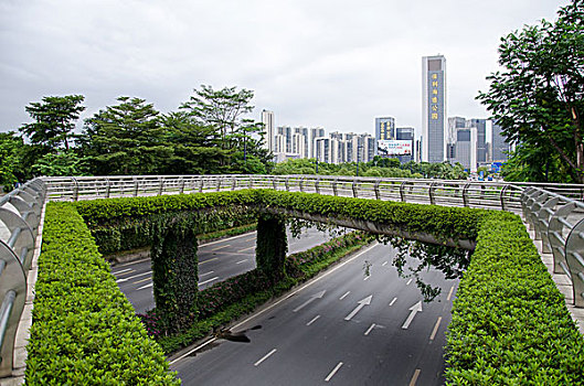 佛山城市风光