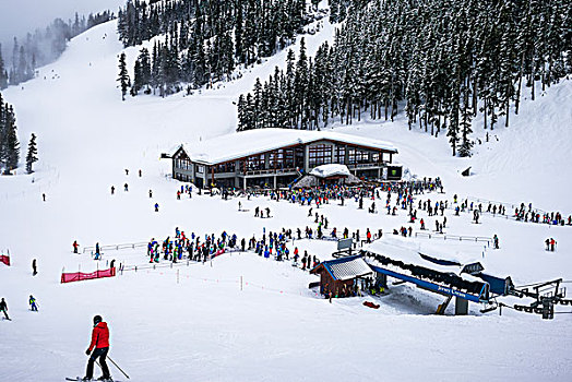 下坡,滑雪胜地,排队,缆车,惠斯勒,不列颠哥伦比亚省,加拿大
