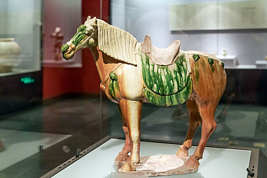 唐代三彩马,河南省洛阳博物馆馆藏文物