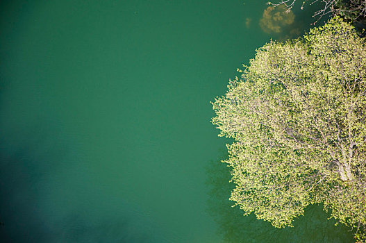 航拍视角下碧绿的湖水和湖边的树木