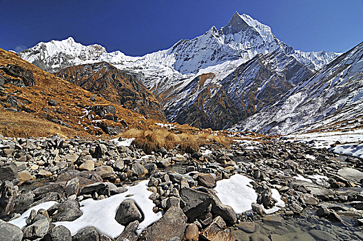 尼泊尔,安纳普尔纳峰,保护区,跋涉,露营,喜马拉雅山