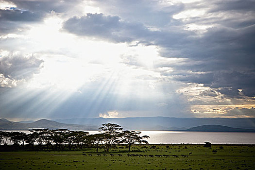 阳光,云,湖,肯尼亚