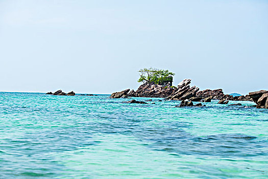珊瑚岛