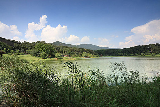 南京琵琶湖风景