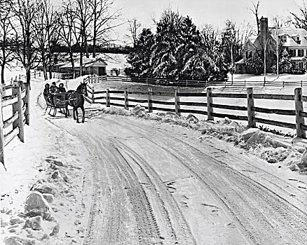 家庭,骑,马拉,雪撬,遮盖,道路