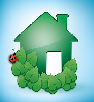 绿色,环保,房子,插画,叶子,瓢虫