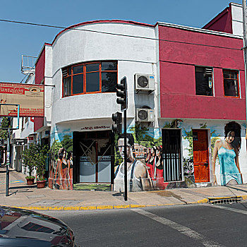 壁画,建筑,街道,圣地亚哥,城市,区域,智利